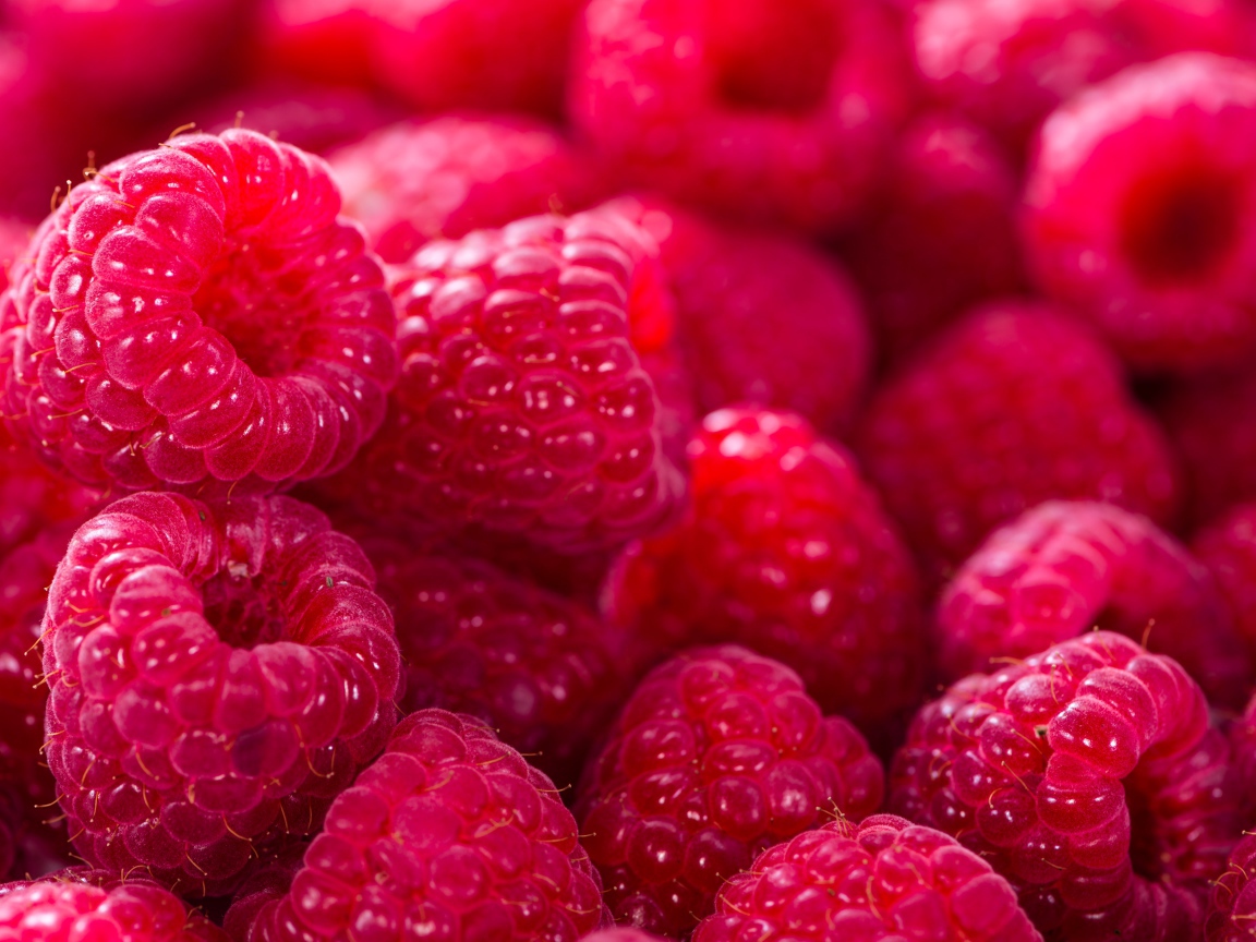 Спелая сочная малина крупным планом