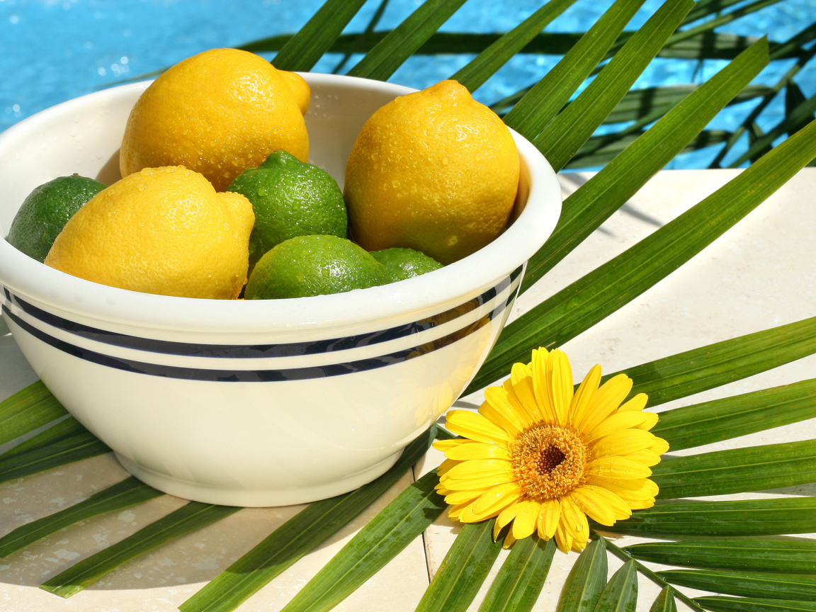 Желтые лимоны и зеленые лаймы в каплях воды на столе с пальмовым листом и цветком герберы