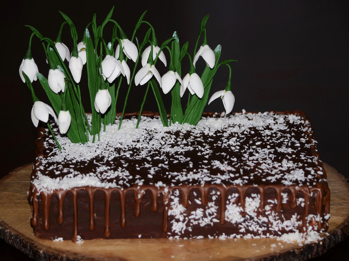 Шоколадный торт с кокосовой стружкой и цветами подснежника