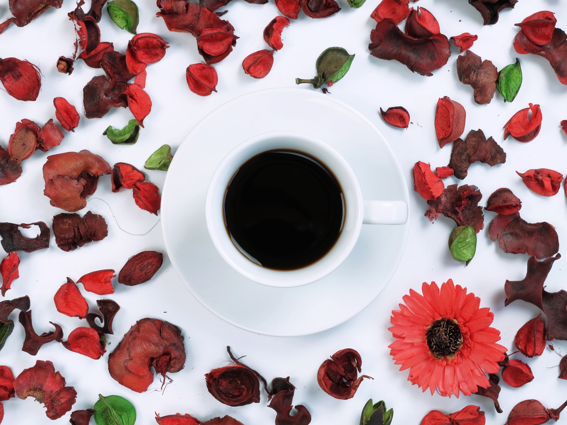 Чашка кофе на белой поверхности с сухими лепестками 