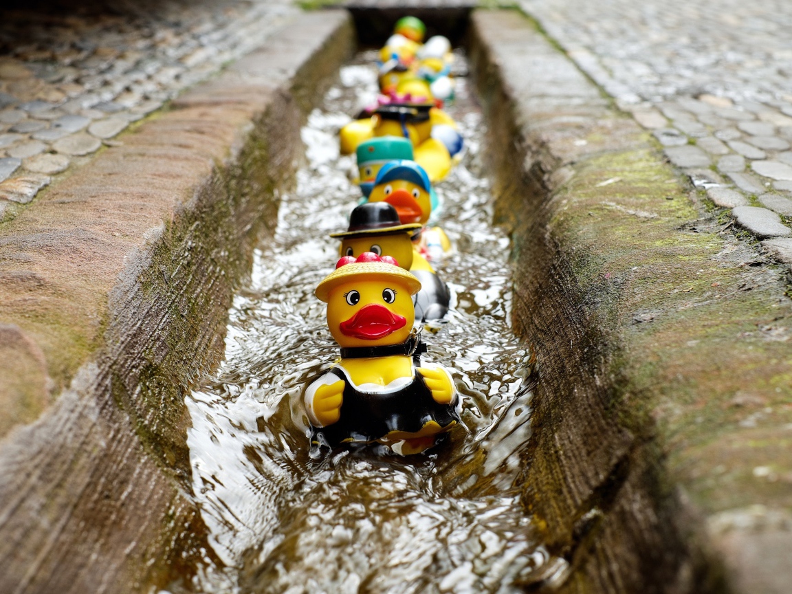 Игрушки утята в водосточной канаве