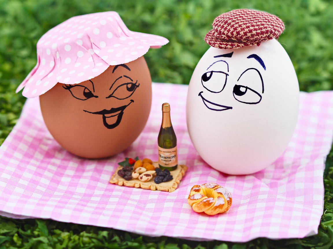 Два яйца устроили пикник на природе