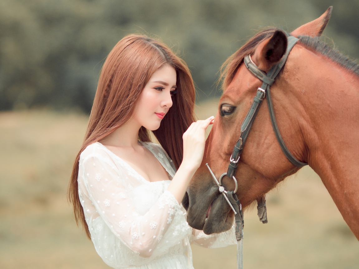Красивая длинноволосая азиатка гладит лошадь