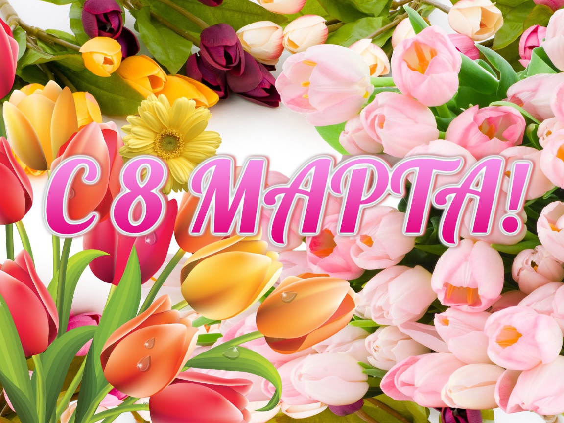 Праздничная открытка с тюльпанами на Международный женский день 8 марта