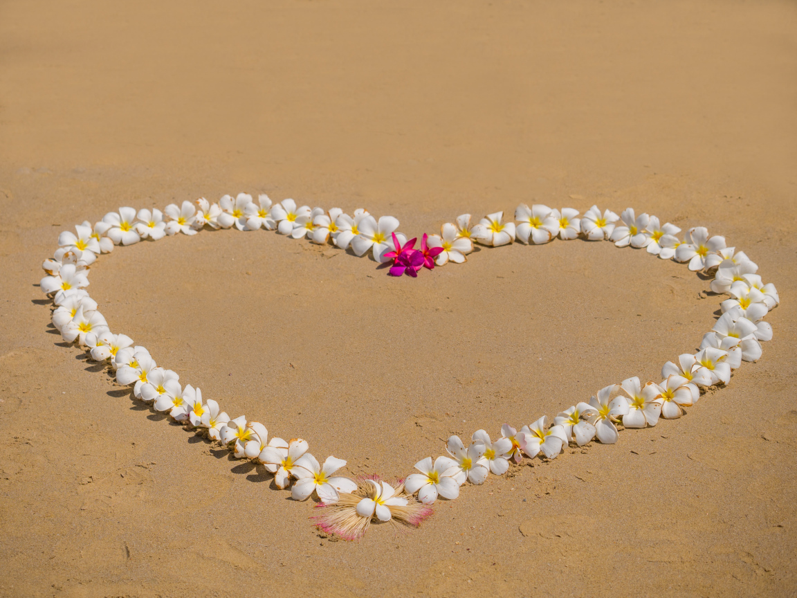 Сердце из цветов плюмерии на песке