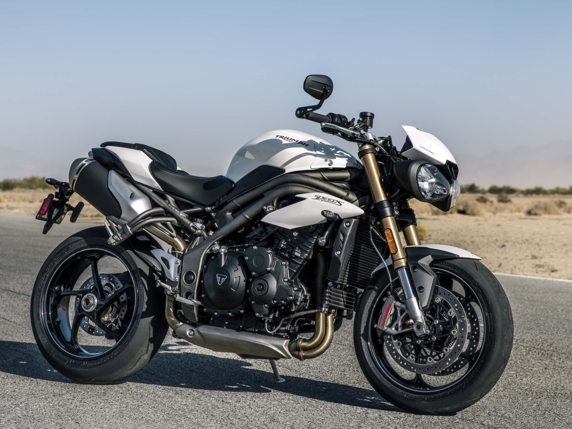 Motorcycle Triumph Speed Triple S, 2018 on the road