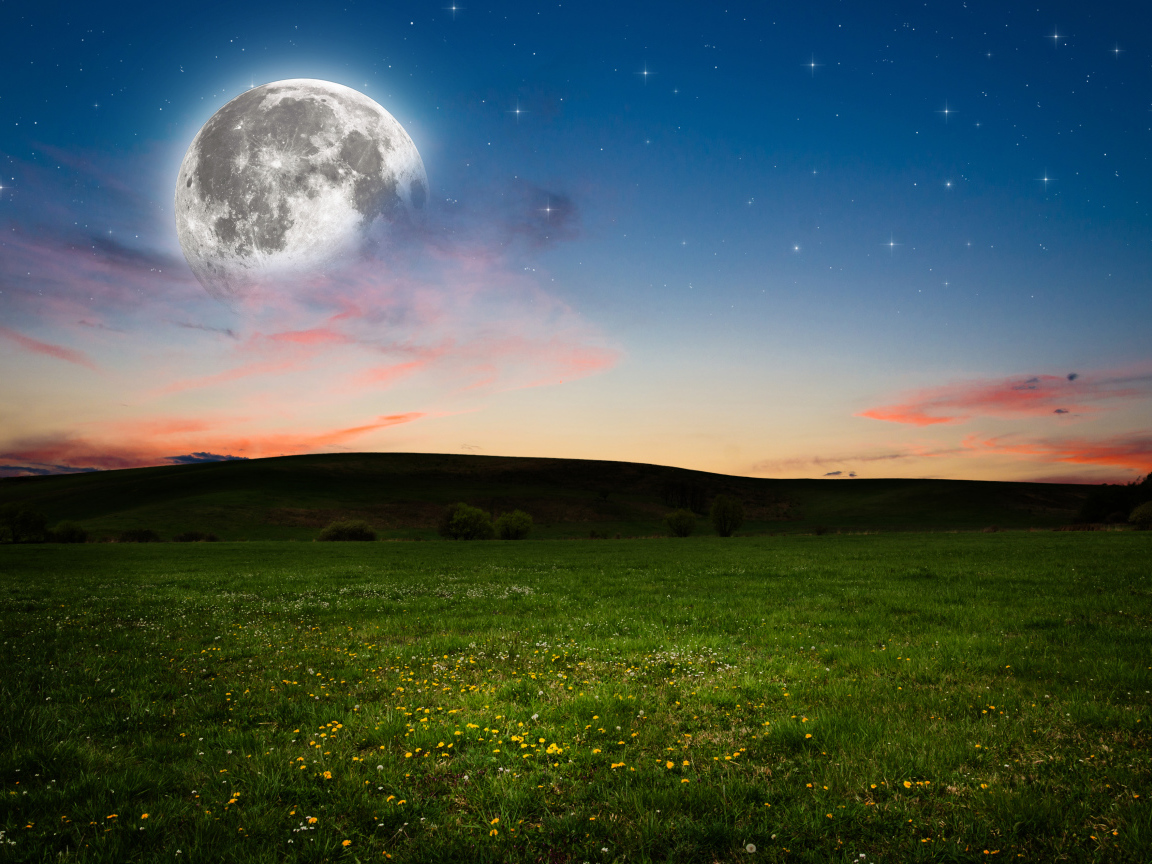 Большая луна в небе над зеленым лугом