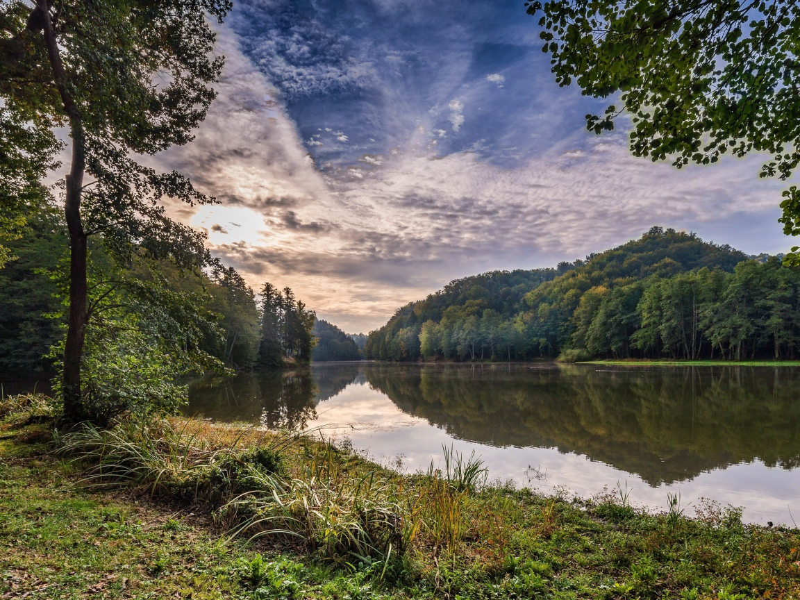 Зеленые деревья на берегу реки под красивым небом