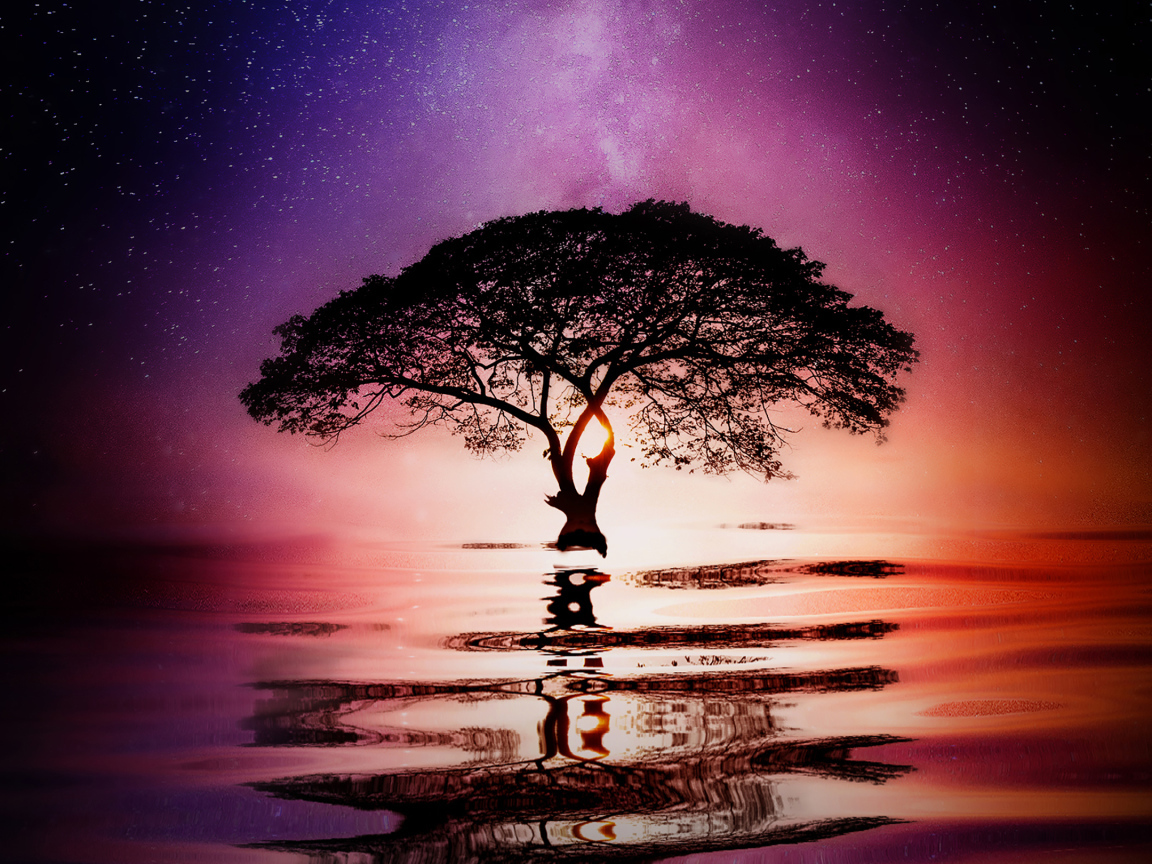 Большое ветвистое дерево в воде