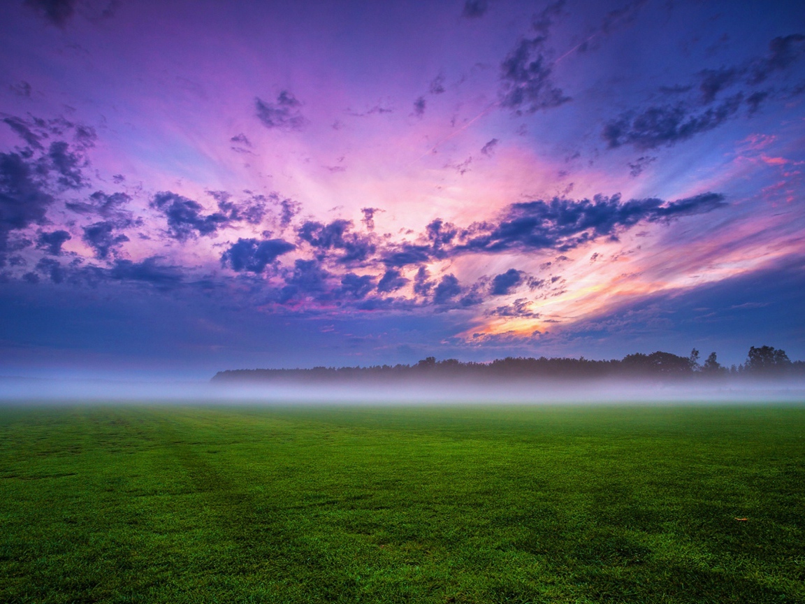Утренний туман над полем под красивым небом