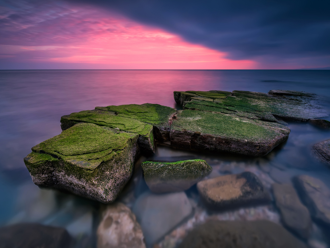 Покрытые зеленым мхом камни в воде
