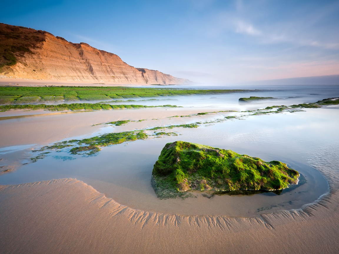Камни на песчаном пляже покрыты зеленым мхом