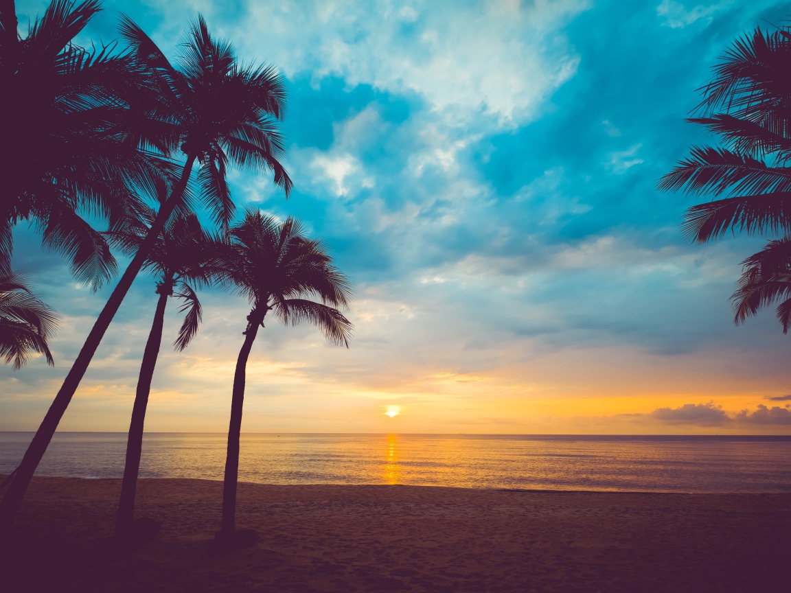 Закат солнца в небе на тропическом пляже