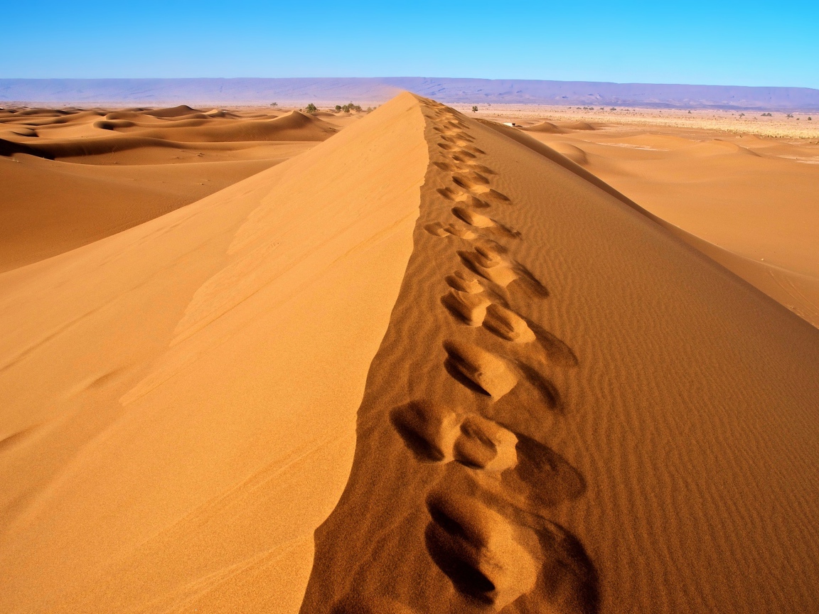 Следы на горячем песке в пустыне Сахара