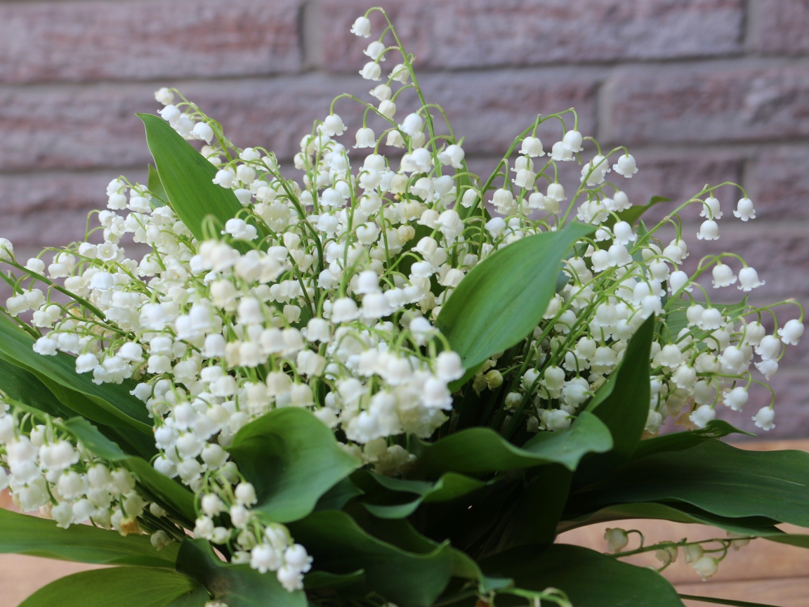 Букет белых ландышей с зелеными листьями