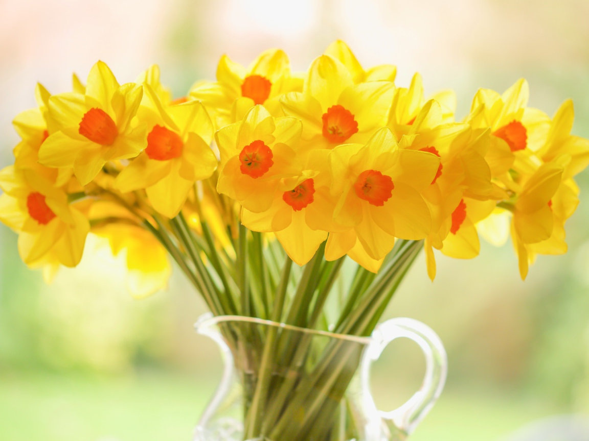 Букет желтых нарциссов в стеклянной вазе