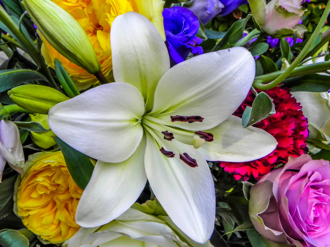 Красивая крупная белая лилия в букете крупным планом 