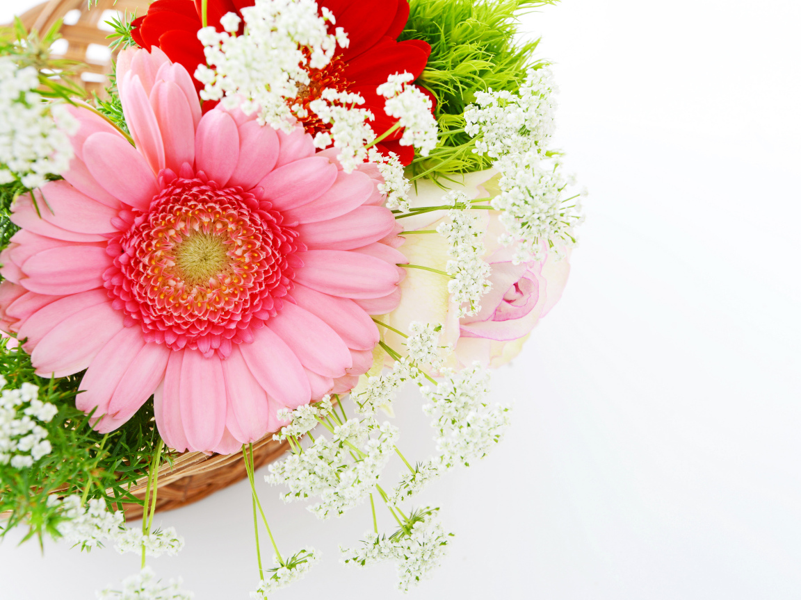 Красивый нежный букет с цветами герберы на белом фоне