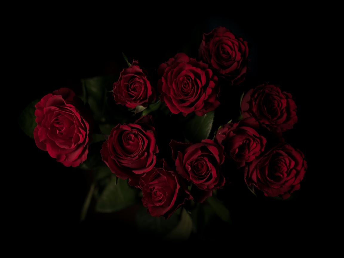 Букет красивых бордовых роз на черном фоне