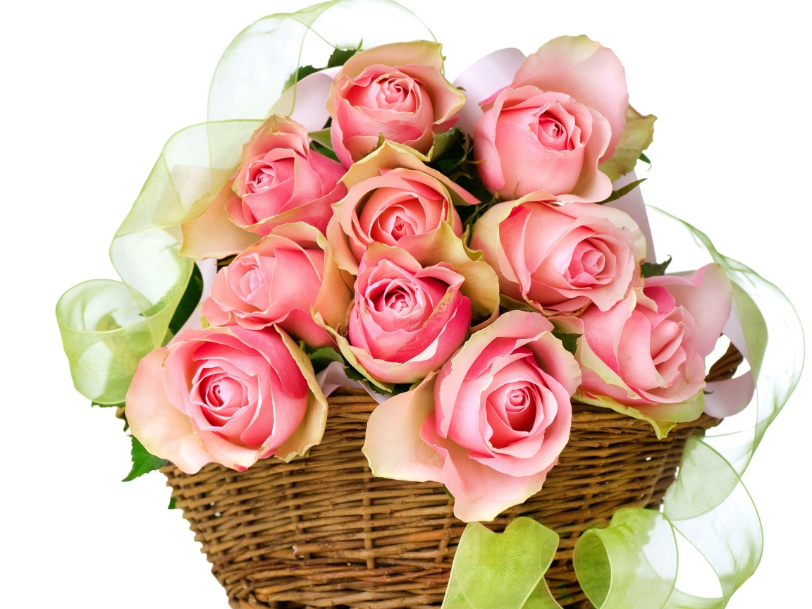 Букет розовых роз в корзине с лентой на белом фоне