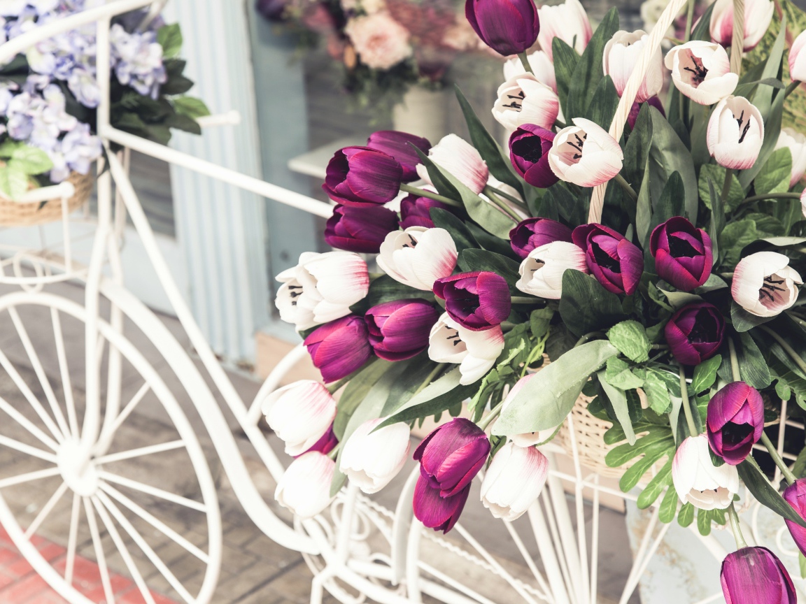 Букет тюльпанов в корзине на белом велосипеде