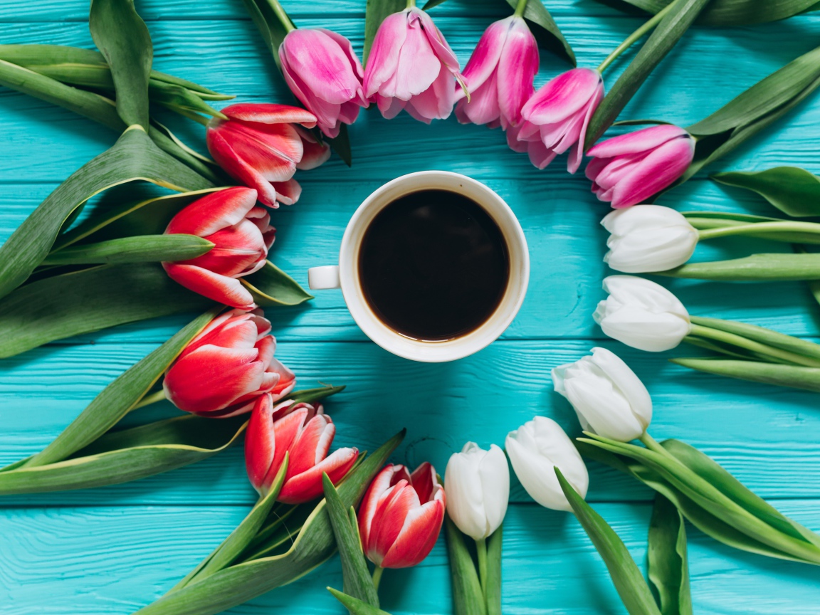 Букет тюльпанов с чашкой кофе на голубом фоне