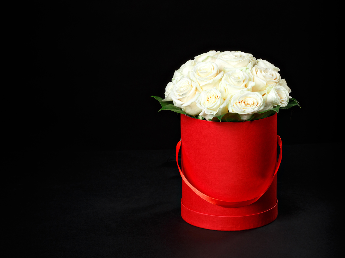 Букет белых роз в красном ведре на черном фоне
