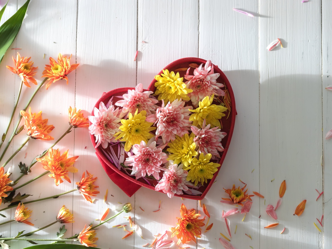 Коробка в форме сердца с цветами хризантемы