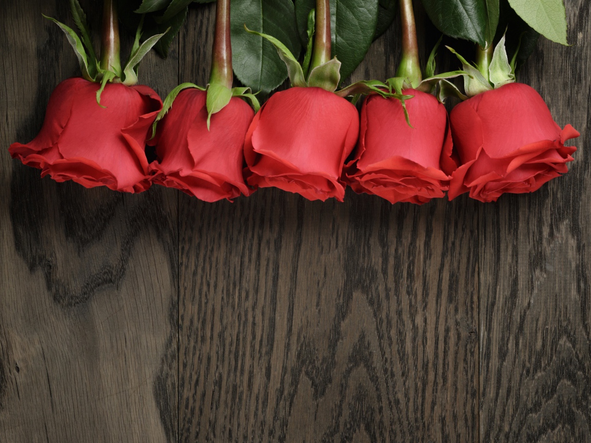 Пять красных роз на деревянной поверхности, шаблон для открытки