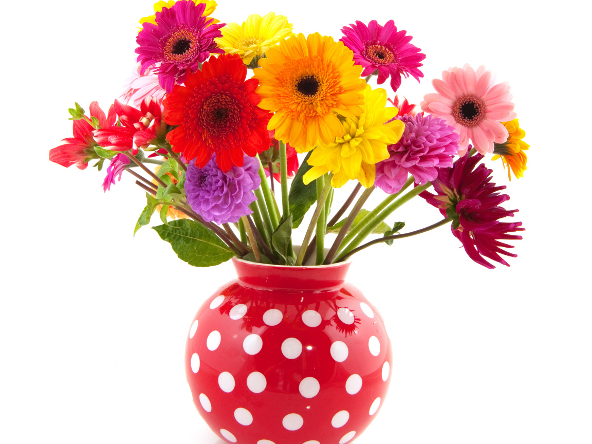Разноцветные герберы и георгины в вазе на белом фоне