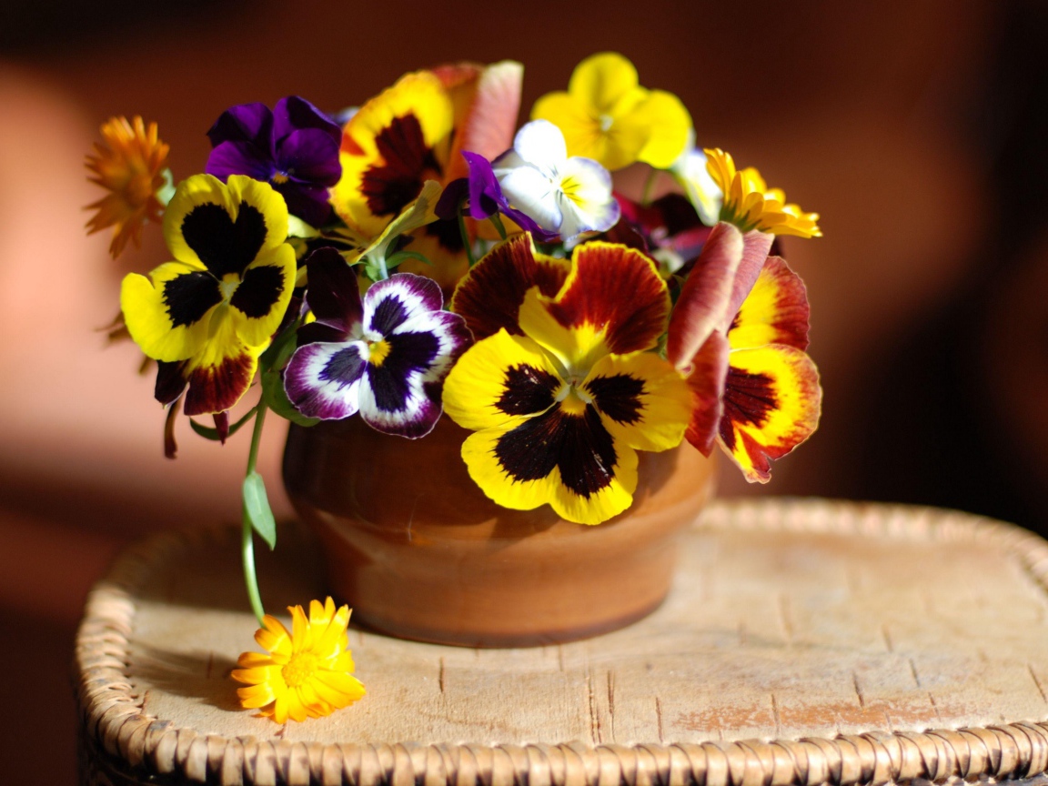 Цветы анютины глазки в вазе 