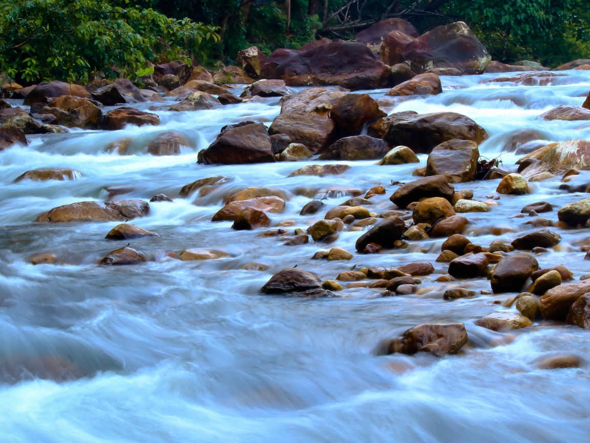 Быстрая горная река стекает по камням