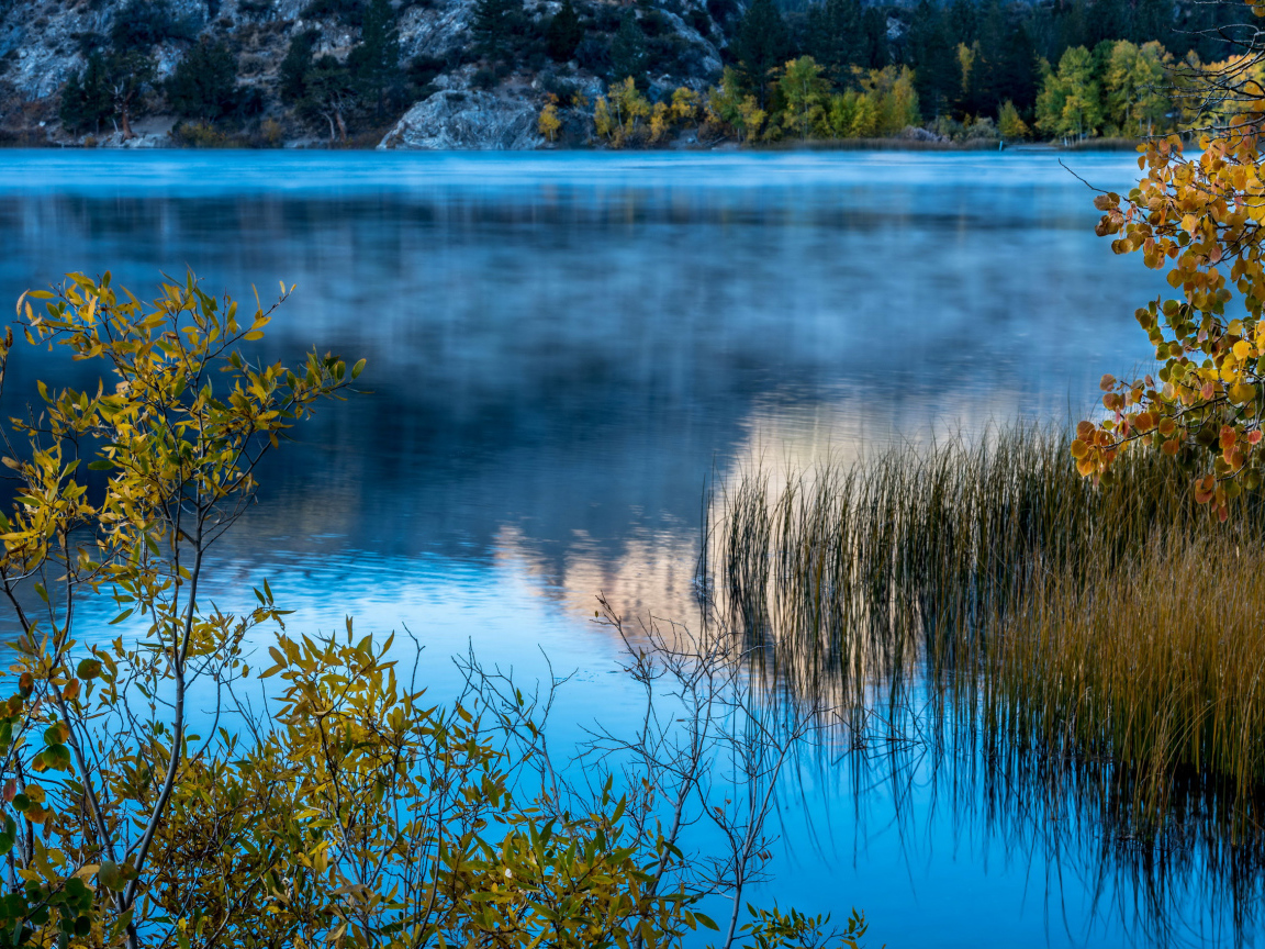 Утренний туман над горным озером, США