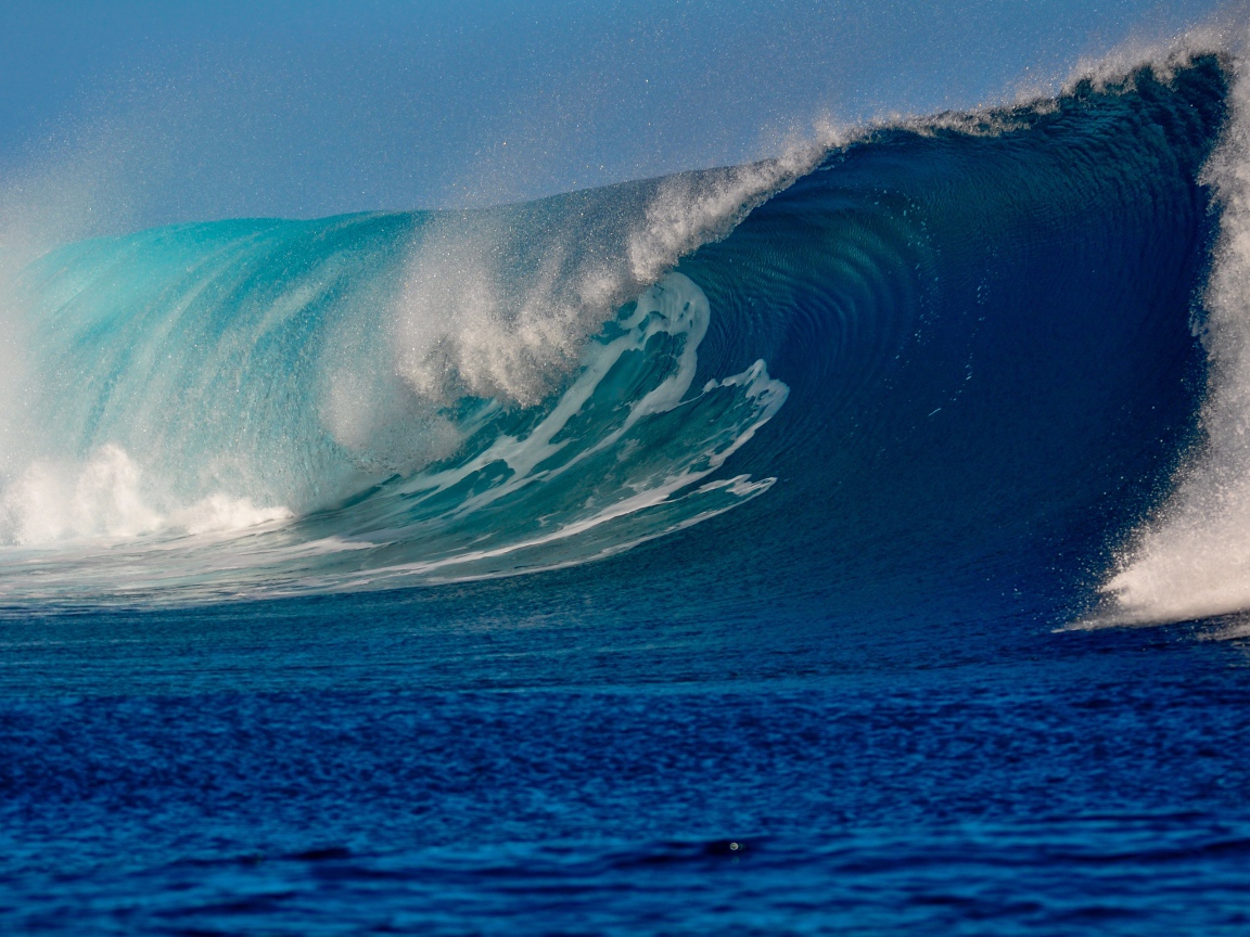 Высокая красивая волна в море