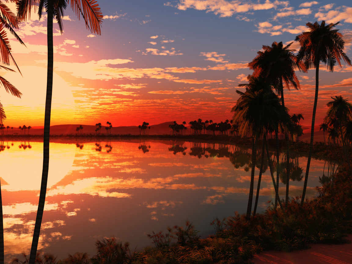 Красивый закат солнца на тропическом пляже