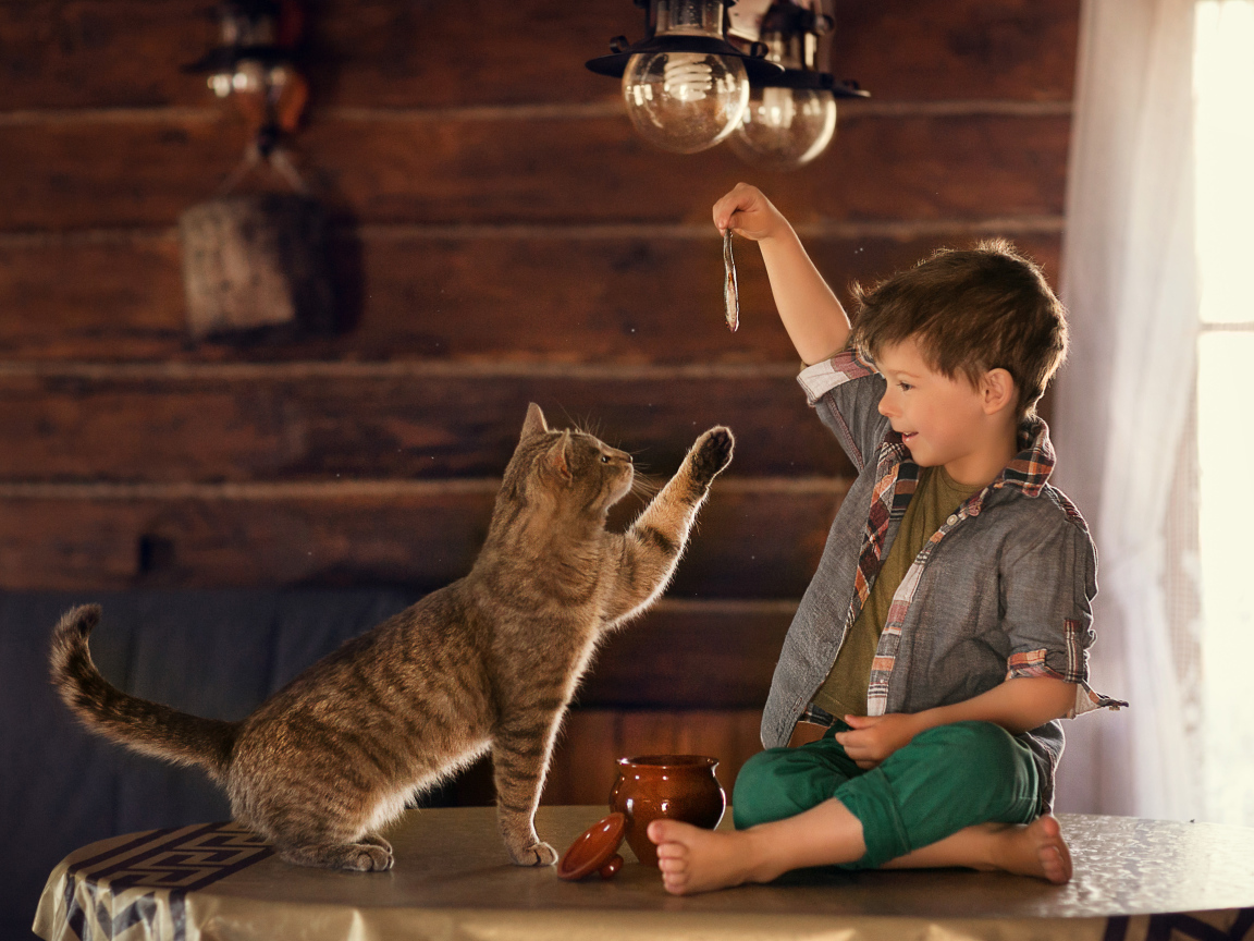 Маленький мальчик дразнит рыбой серого кота