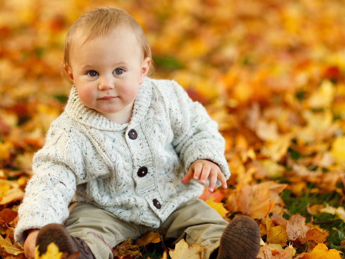 Маленький ребеной сидит на желтой опавшей листве осенью