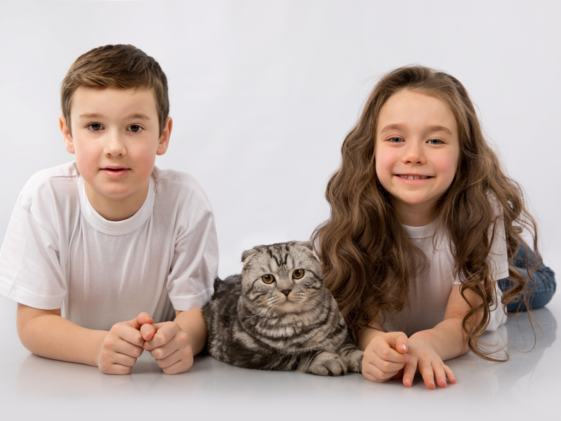 Мальчик и девочка с шотландским котом на сером фоне