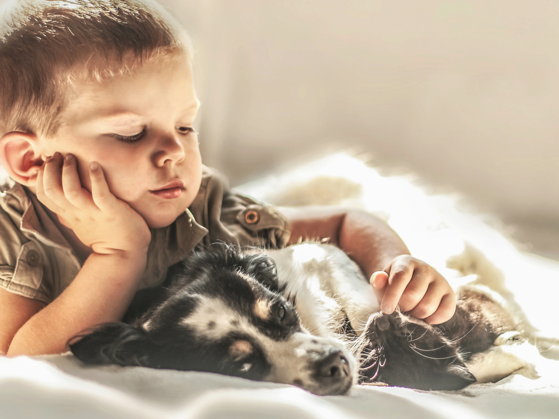 Маленький мальчик лежит с собакой и котом