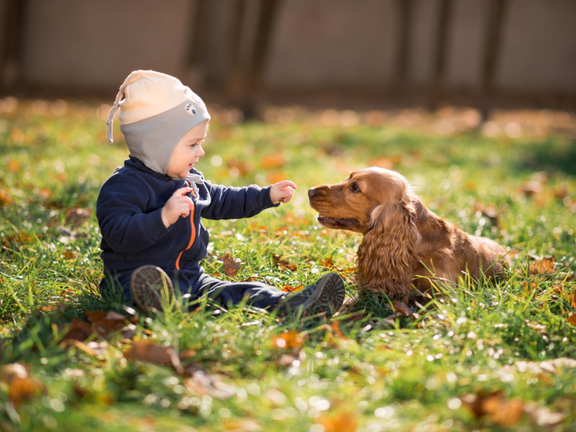 Маленький мальчик сидит на траве с собакой 