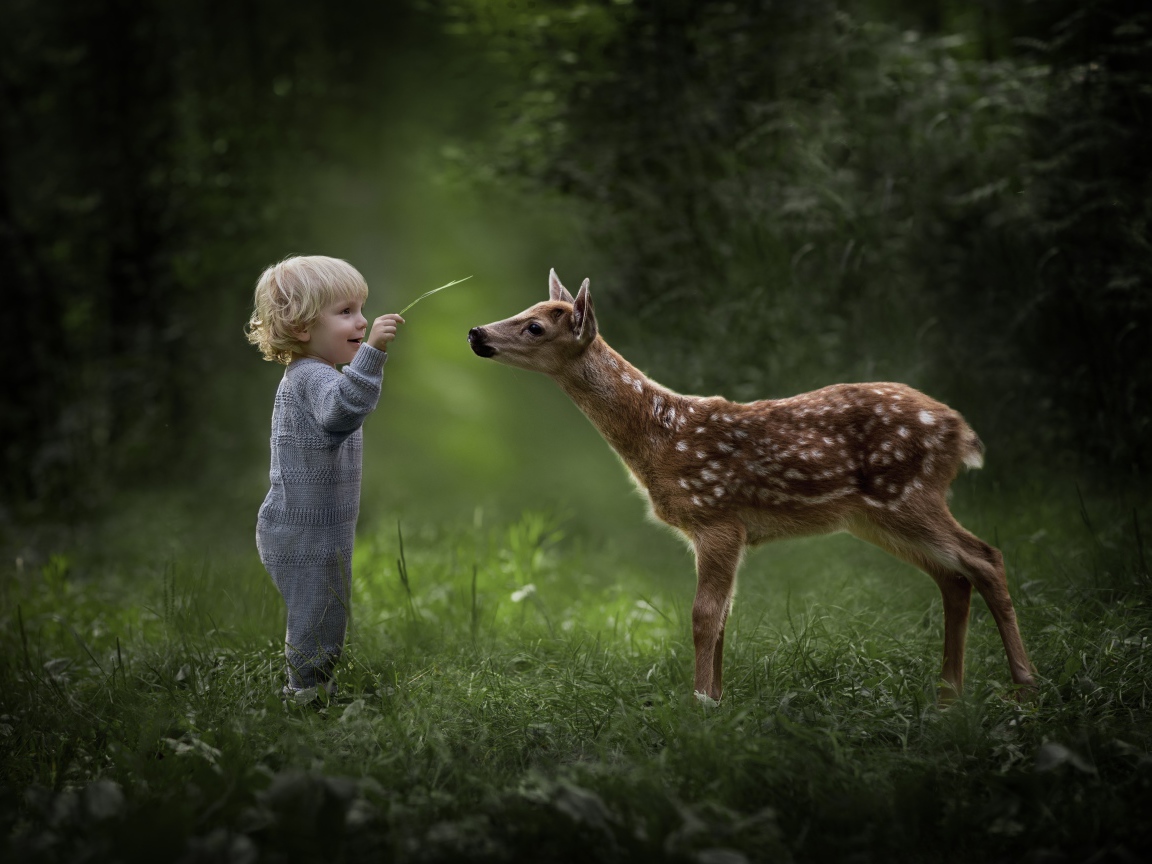 Маленький мальчик с оленем в лесу