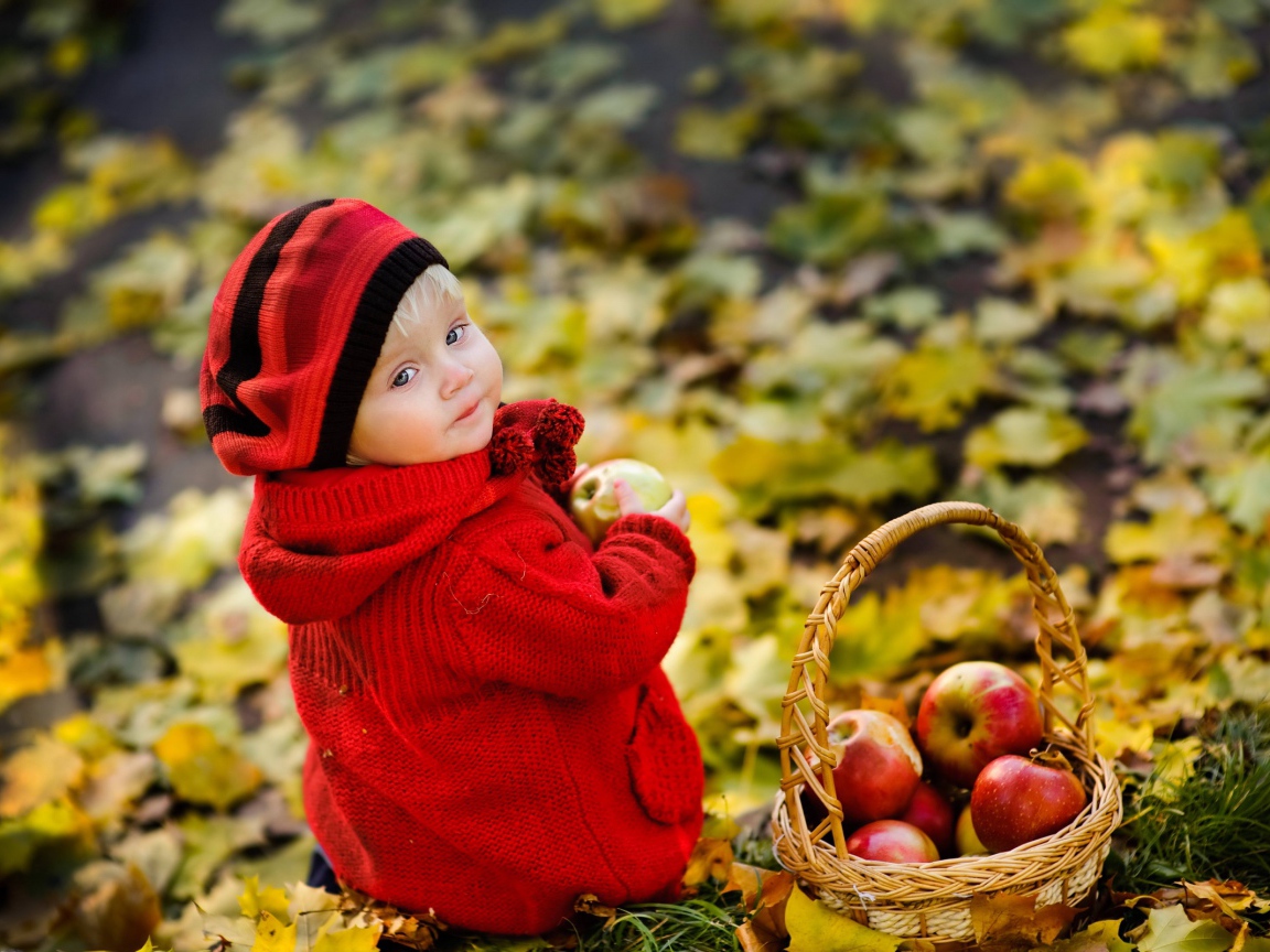 Маленькая девочка с корзиной яблок осенью