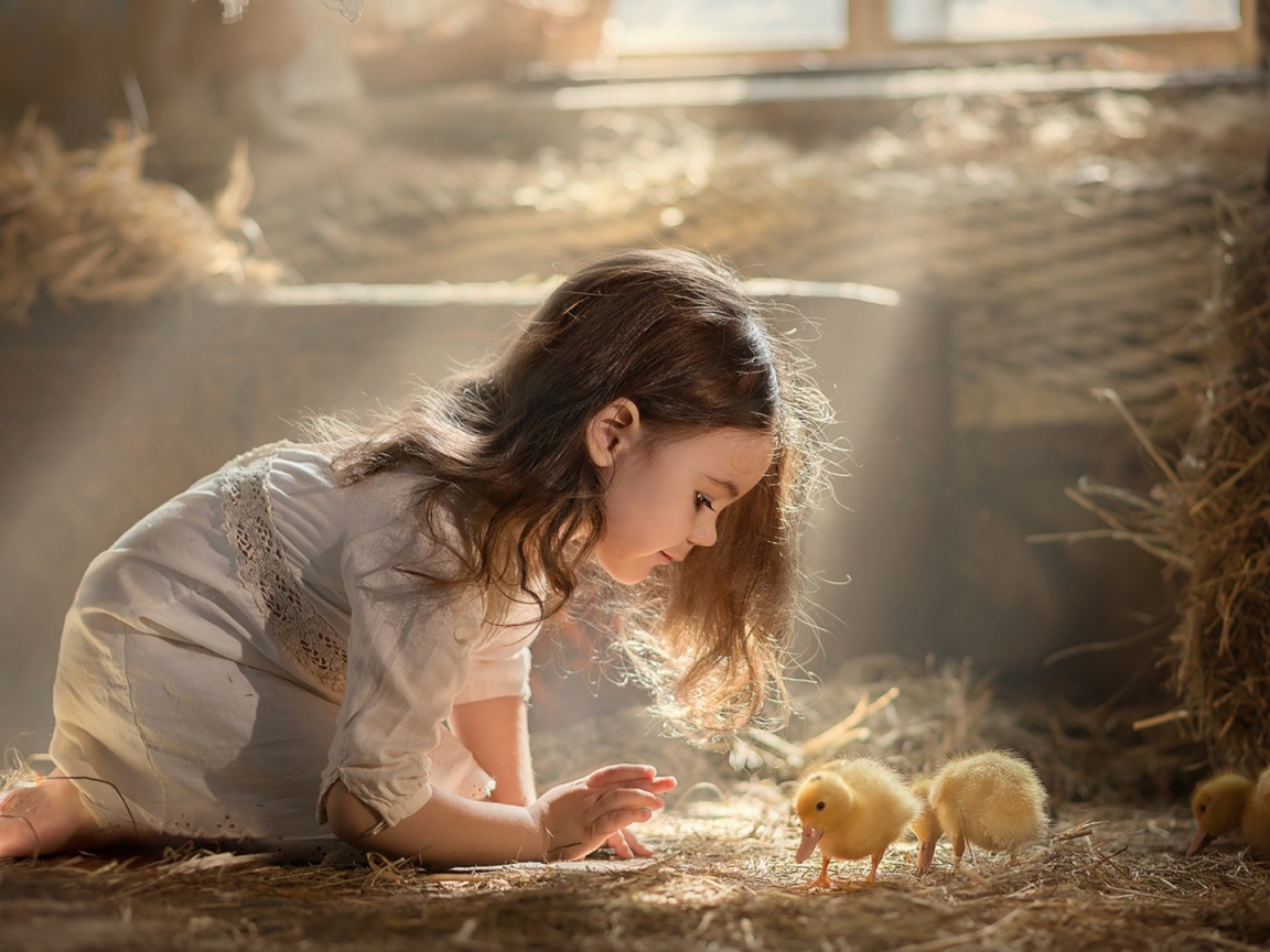 Маленькая девочка с утятами в сарае 