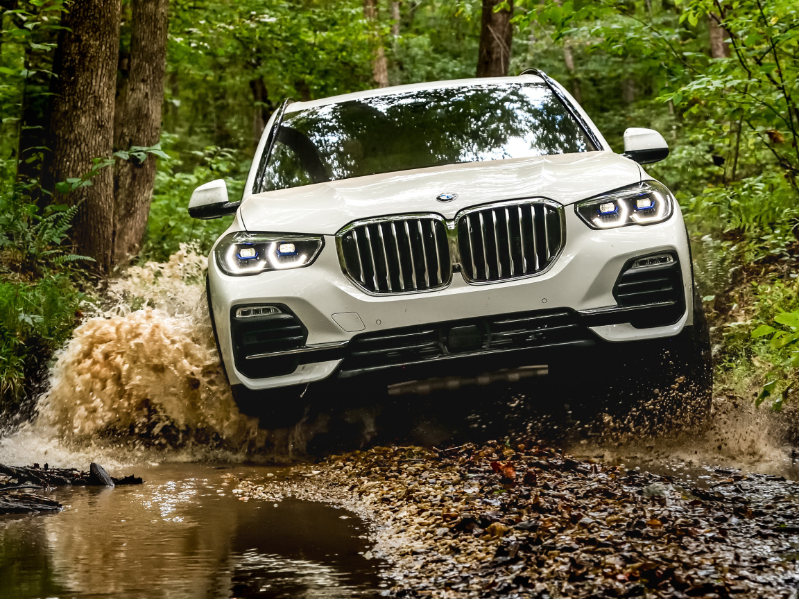 Внедорожник BMW X5 XDrive40i 2018 года едет по воде в лесу