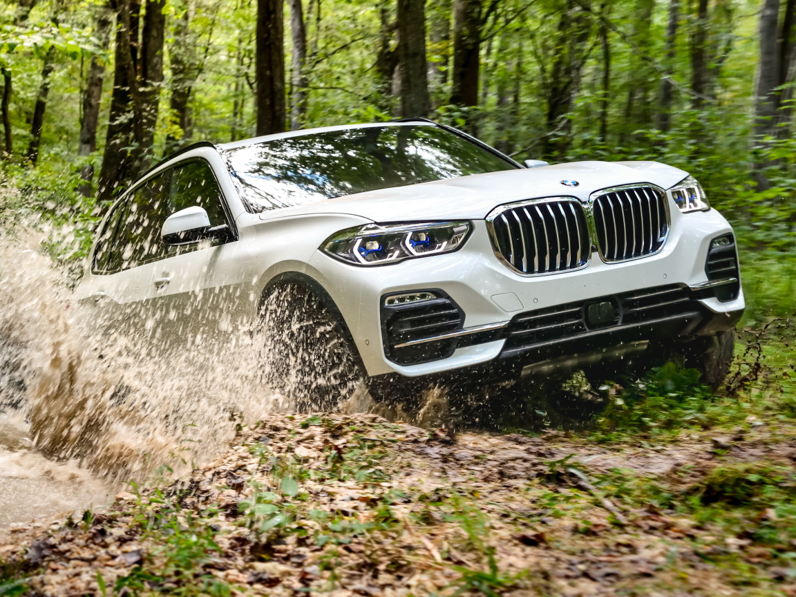 White BMW X5 SUV rides through the mud in the woods  