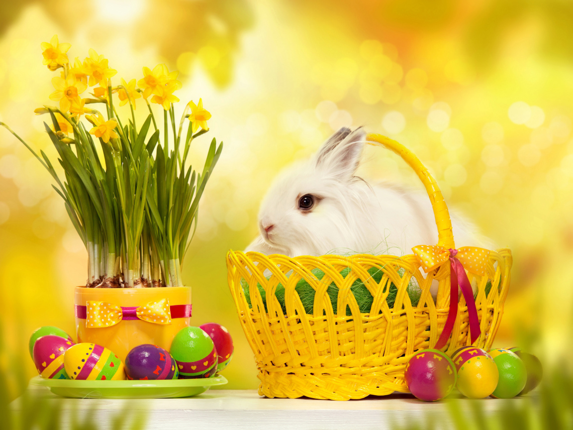 Пушистый белый кролик в корзине на столе с нарциссами и крашеными яйцами