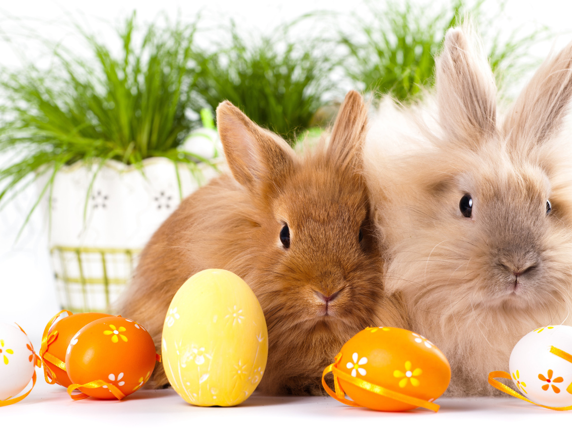 Two fluffy decorative bunnies with painted eggs