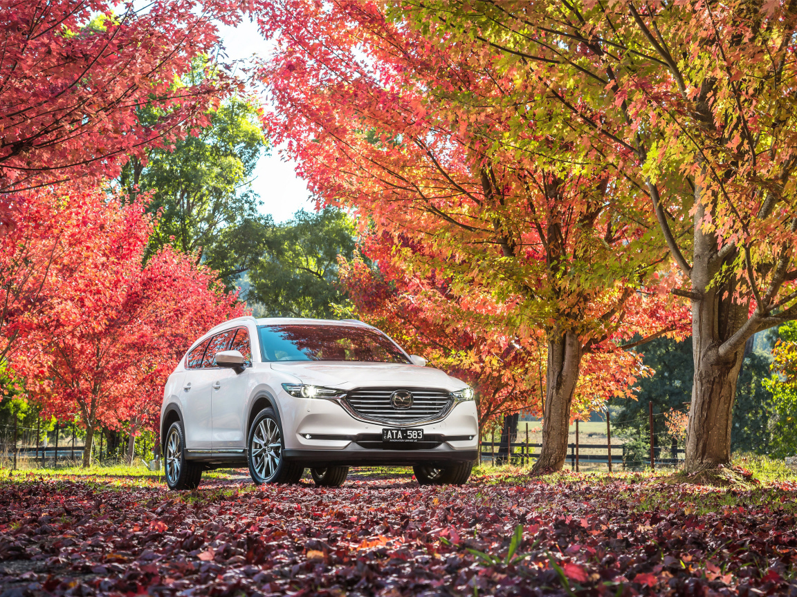 Белый автомобиль Мазда в осеннем парке