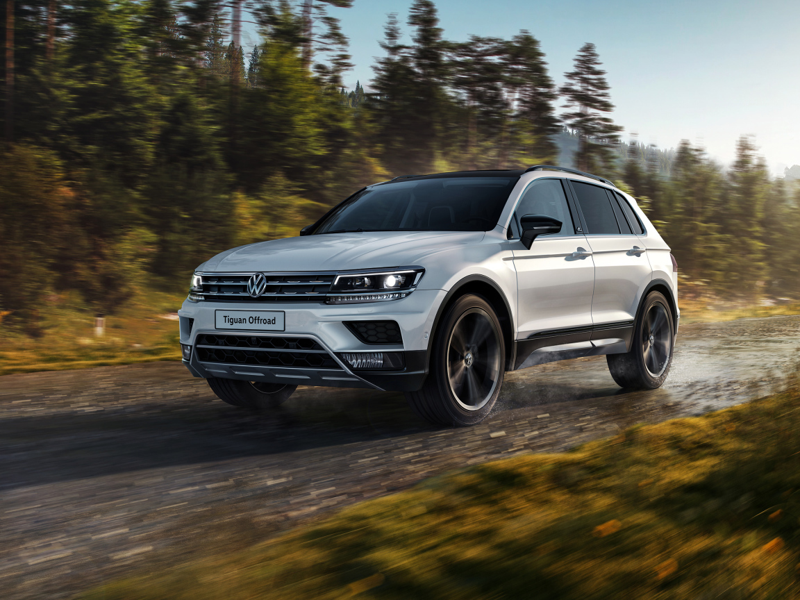 Серебристый внедорожник Volkswagen Tiguan на фоне леса 