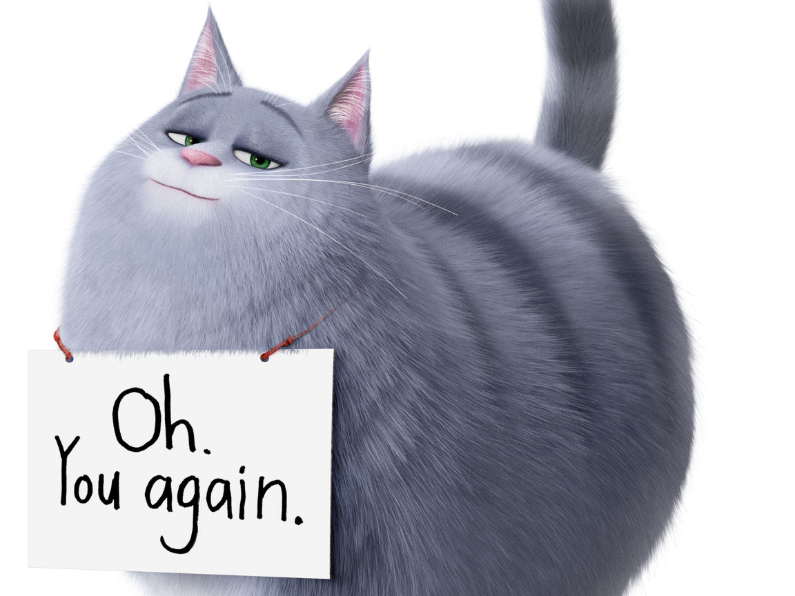 Кошка Хлоя из Тайная жизнь домашних животных 2 на белом фоне